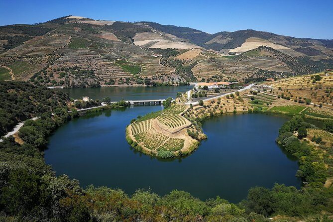 Authentic Douro Valley - small-Group Tour (Max 7) - Winery Lunch on the Douro River: A Taste of Portuguese Food Culture
