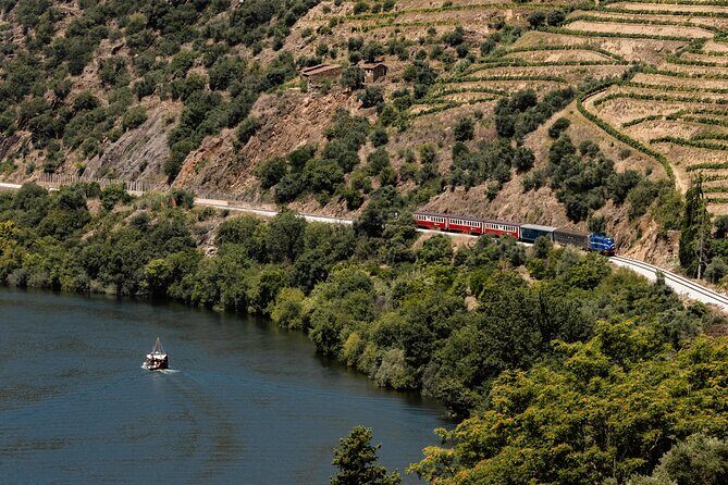 Douro Experience - Boat and Train Ride - Lunch and Wine Tasting - All Included - How the Duoro Turns Into Three Different Trips (Road, Train, Boat)
