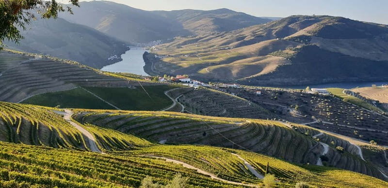 Douro Private Signature Tour – Customizable Experience - From Porto to the N222 Road: The Scenic Drive That Sets the Tone