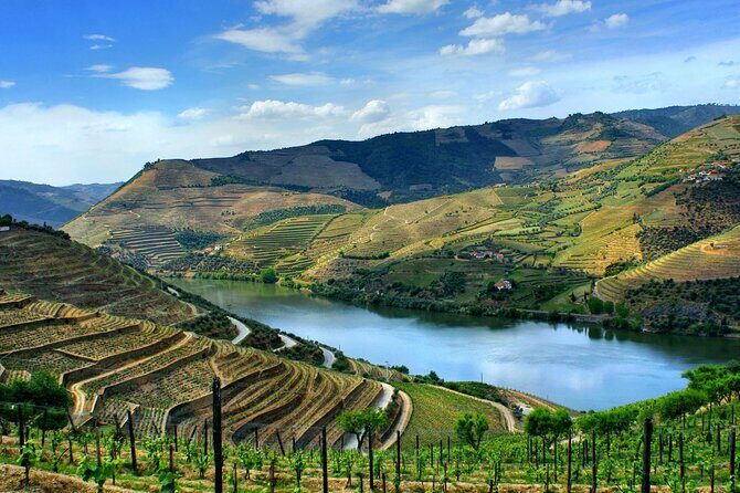 Douro Valley and Régua Panoramic Cruise with Lunch from Porto - Returning to Porto: Bridges, Gaia lodges, and the finish view