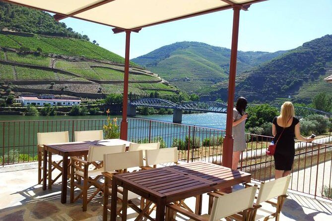 Douro Valley: Historical Sites, Wine Experience, Lunch & Cruise - Vineyard estate walk and 3-wine tasting: what you’re actually paying for