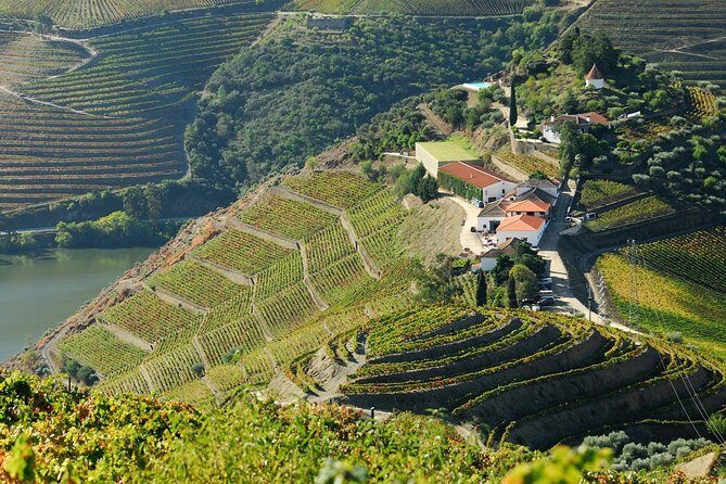 Douro Valley private day tour from Porto - Two Wine Tasting Stops: What You Really Pay For