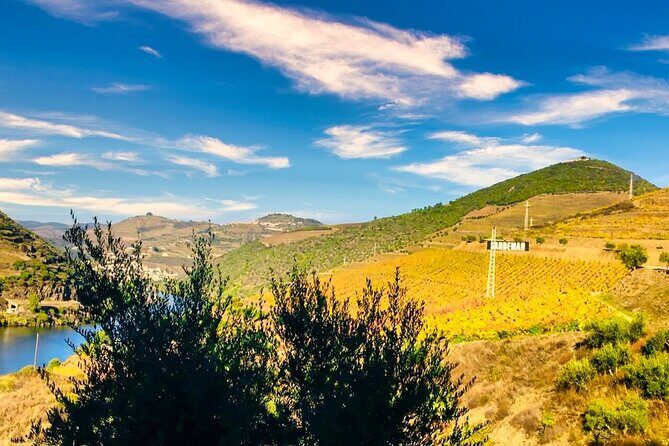 Douro Valley Private Tour: 2 Farms, Lunch & Boat Trip - Quick hits: what you’ll remember most