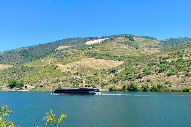Douro Valley Private Tour: 2 Farms, Lunch & Boat Trip - Price and value: what you’re really paying for