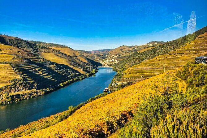 Douro Valley Private Tour: 2 Farms, Lunch & Boat Trip - The Douro River boat trip: why one hour feels like a shortcut