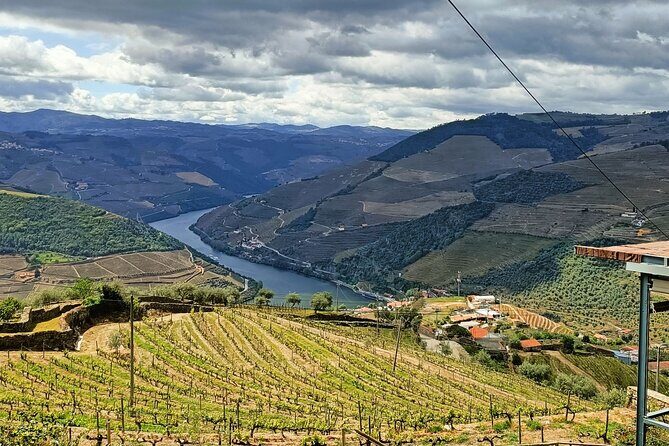 Douro Valley Private Tour - Casal de Loivos family winery: tastings built around the region, not just pours