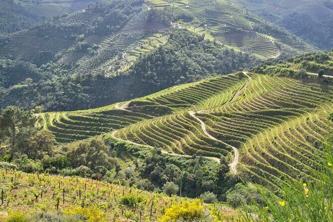 Douro Valley private tour full day - Pinhão train station: tiles, tiles, and more tiles