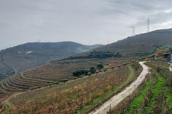 Douro Valley private tour full day - Price and value: what $260-ish buys you here