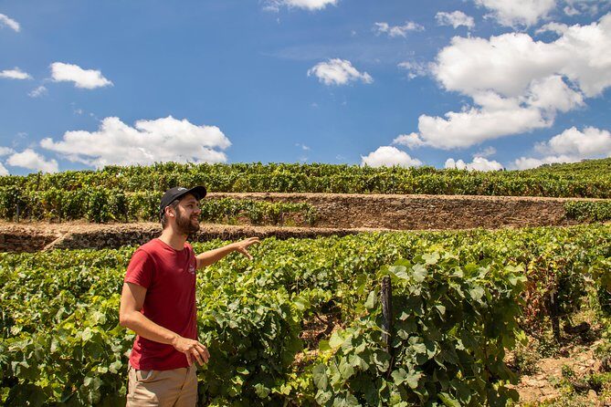 Douro Valley: private tour with lunch and wine estate all inclusive - Lunch, Wine, and Tastings: How to Plan Your Taste Buds