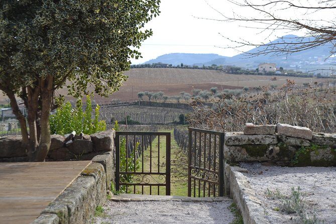 Douro Valley Tour: 2 Vineyard Visits, River Cruise, Winery Lunch - Sabrosa Winery Lunch: Four Courses Paired with Douro Wine
