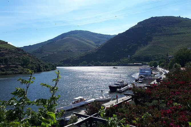 Douro Valley Tour (wine & Food) - Quinta do Seixo (Sandeman) Port Tasting: Why Port Fits the Day