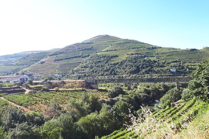 Douro Valley Tour (wine & Food) - The Lunch Question: How to Budget Without Surprises