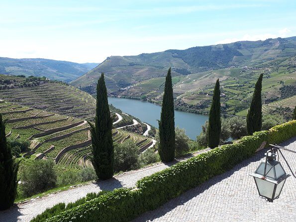 Douro Valley Tour (wine & Food) - Who Should Book This Douro Wine and Food Tour