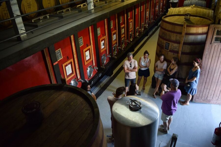 Douro Valley: Winery Tour at Quinta do Tedo and Tastings - Why Quinta do Tedo’s Douro–Tedo Location Makes the Tour Worth It