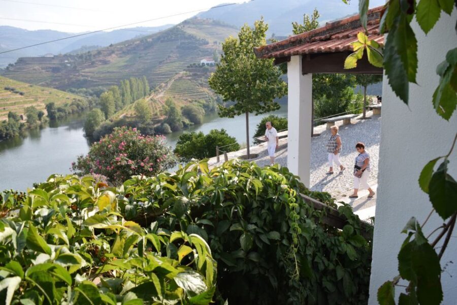 Douro Valley: Winery Tour at Quinta do Tedo and Tastings - The Quick Shopping Stop: Buy Only What You’ll Actually Drink