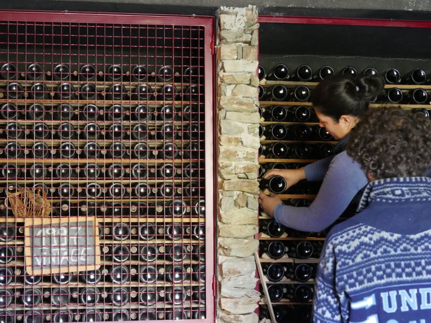 Douro Valley: Winery Tour at Quinta do Tedo and Tastings - Price and Logistics: Getting Value from a Short, Focused Visit