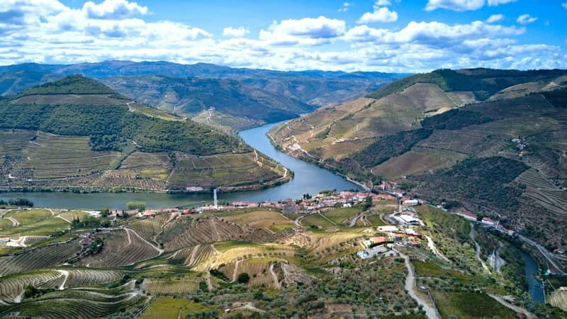 Exclusive Douro Valley: 3 Wineries, 9 Wine Tastings & Lunch - Should you book this Douro Valley wine tour?