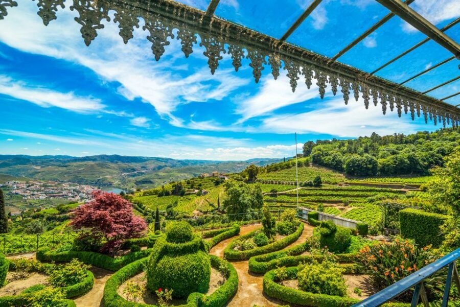 From Porto: Douro Valley w/ Boat Tour, Wine Tasting & Lunch - Value Check: Is $82 Worth It?