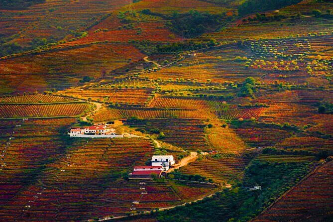 Porto: Douro Valley, 2 Wine Regions, Sommelier, Boat Trip & Lunch - Sabrosa Winery Visit: DOC Wines, Port Production, and Aged Port Tasting