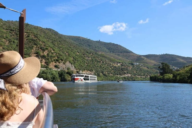 Porto: Douro Valley, 2 Wineries, Lunch, and 1-Hour Boat Tour - From Porto to the vines: scenic driving on the N323