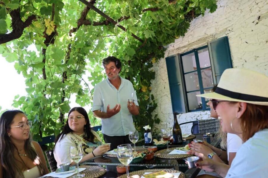 Porto: Douro Valley, 2 Wineries, Lunch, and 1-Hour Boat Tour - Pinhão: photo pause and a fairy-tale village moment