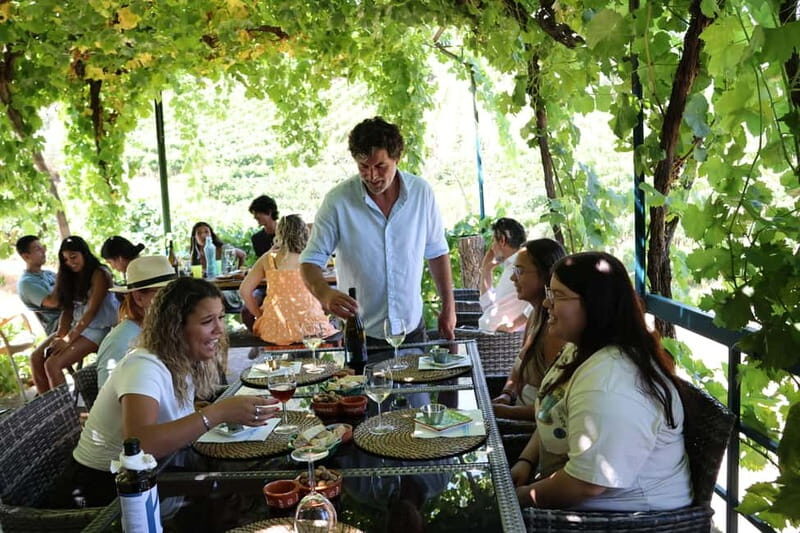 Porto: DOURO VALLEY and AMARANTE City Half-day Tour - The Return Route via Highway 222 and the Amarante Break