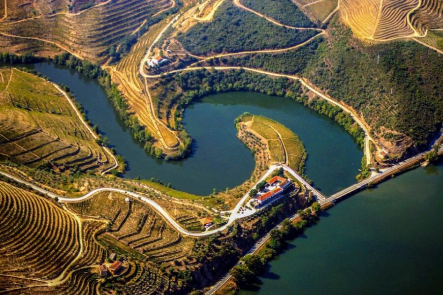 Porto: Douro Valley Full-Day Boat, Train, and Lunch Tour - Lunch near the vineyards: solid food in a real setting