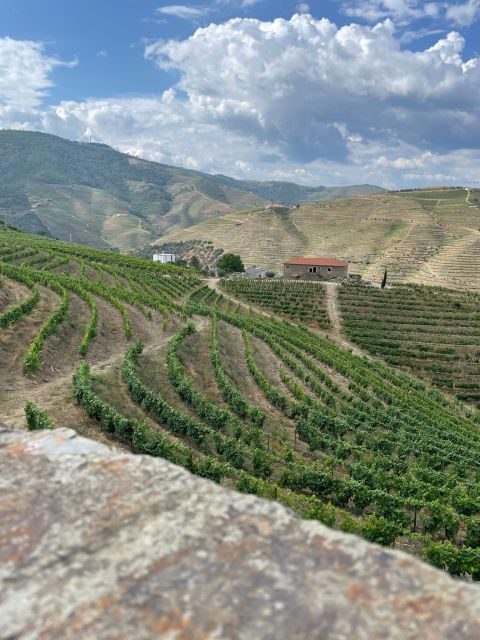 Porto: Douro Valley Private Tour 2 Vineyards & River Cruise - Key things to know before you go
