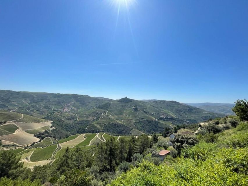 Porto: Douro Valley Private Tour 2 Vineyards & River Cruise - Who this tour is best for (and who might not love it)