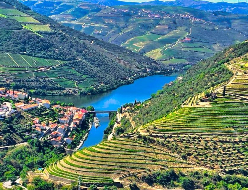 Porto: Douro Valley Private Tour 2 Vineyards & River Cruise - Private pickup that actually saves your time