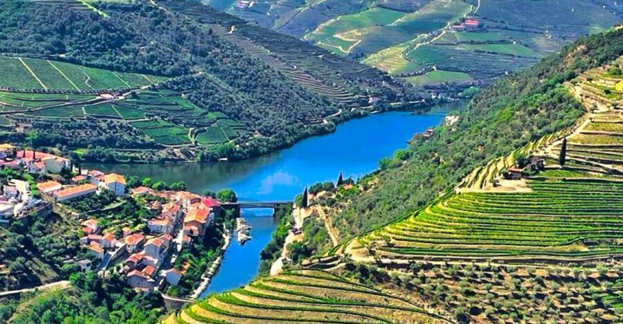 Porto: Douro Valley Private Tour 2 Vineyards & River Cruise - Two vineyard visits: tastings you’ll actually remember