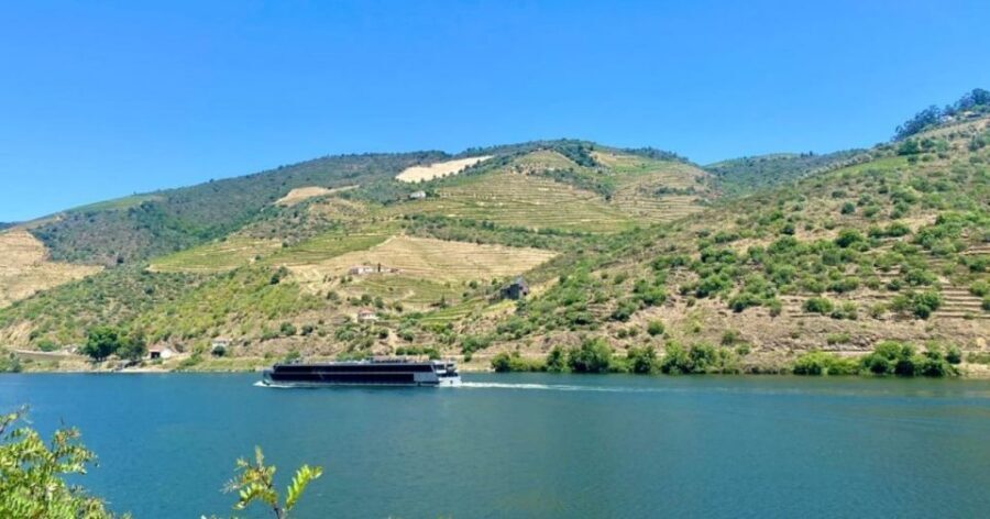 Porto: Douro Valley Private Tour 2 Vineyards & River Cruise - Lunch in the vineyards: where the views meet your plate
