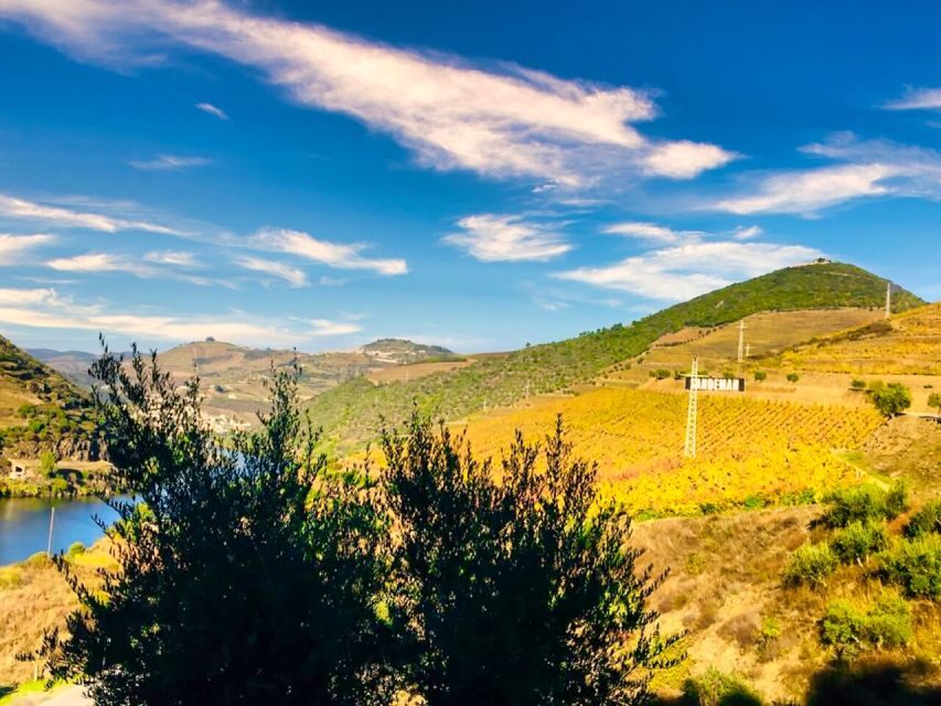 Porto: Douro Valley Private Tour 2 Vineyards & River Cruise - Timing and pacing: how to make a 9-hour day feel easy