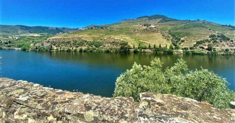Porto: Douro Valley Private Tour 2 Vineyards & River Cruise - Price and value: what you’re paying for at $577 per group