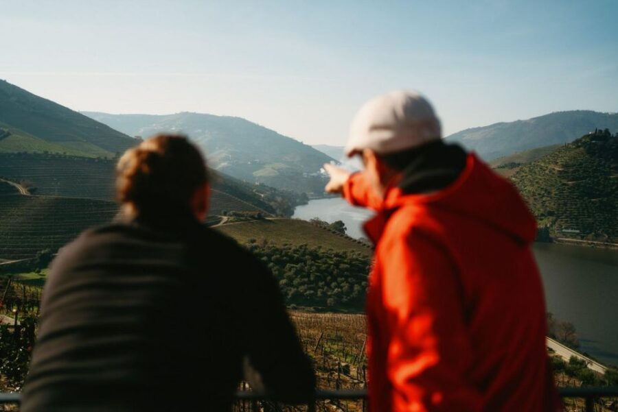 Porto: Douro Valley Tour with 2 Wineries, Lunch and Cruise - Value check: why $117 feels fair for what you get