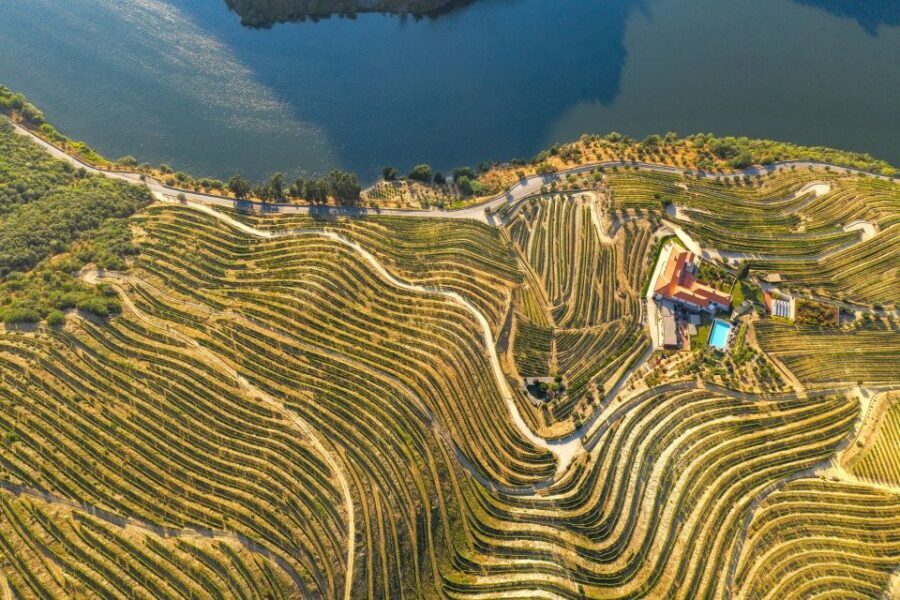 Porto: Douro Valley Tour with Lunch, Boat Cruise & Tastings - The lunch cellar: where the day turns from tours into a meal