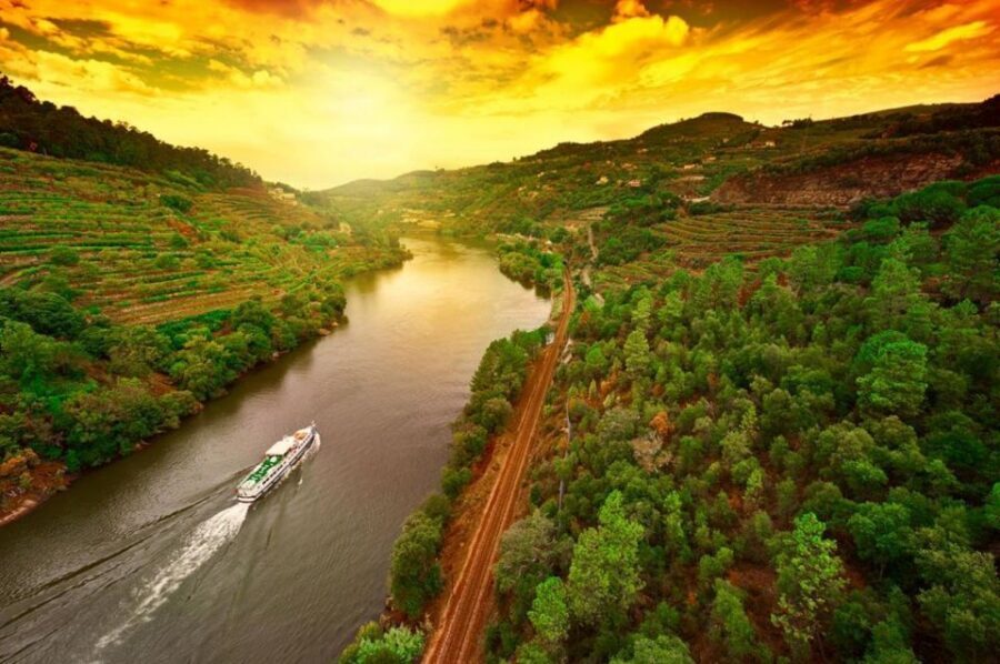 Porto: Douro Valley Wine Tour - Key things that make this Douro day memorable