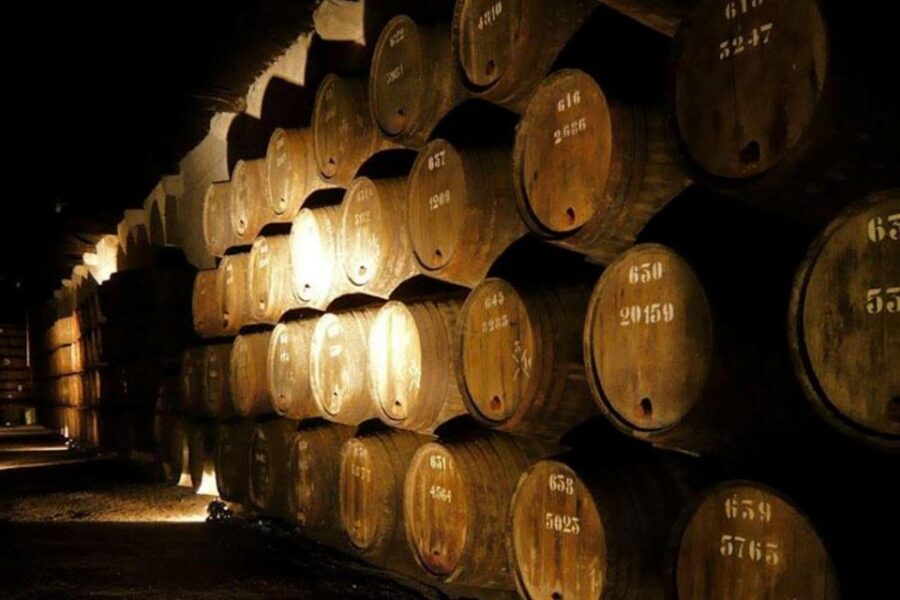 Porto: Douro Valley Wine Tour - Porto to Douro Valley: why this tour is built for first-timers