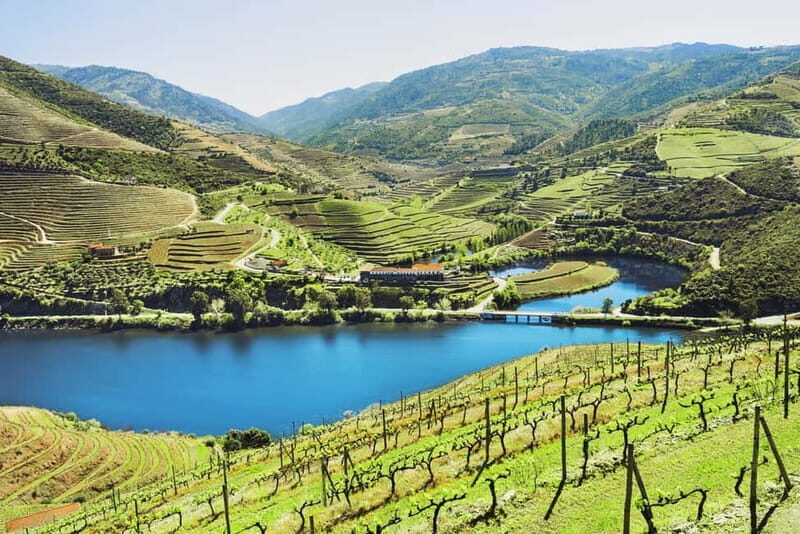 Porto: Douro Wine Tour with Lunch and River Cruise - Winery Stop 1: Port and DOC Douro Tasting With a Real Timeline