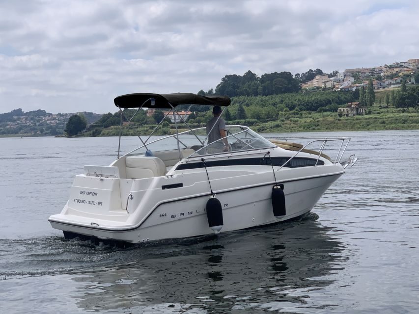 Private Cruise in Rio Douro - 2 hours - Up to 8 Passengers - What the six bridges look like from the water