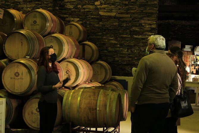 Private Douro Valley Tour from Porto - Lunch Included: Fish, Pork, or Vegetarian (Plus Dessert)