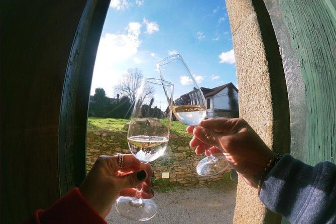 Private Douro Valley Tour from Porto - What Private Really Means Here (and Why It Helps)