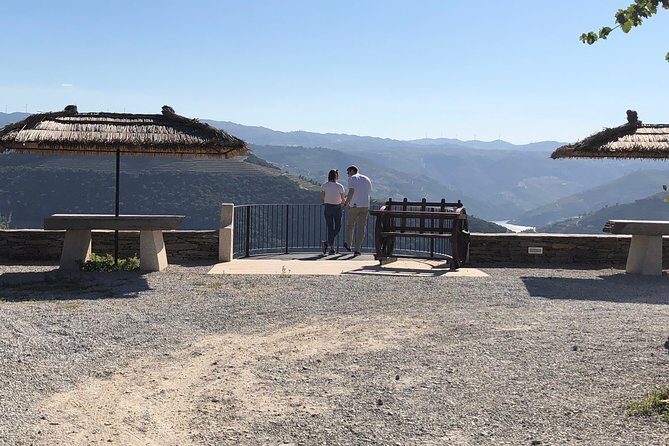 Private Douro Valley Tour from Porto - Wine, Olive Oil, and Honey Tasting at a Local Producer