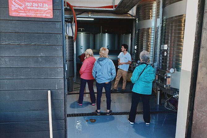 Private Douro Valley Tour with Sommelier, Lunch and Wine Tasting - Miradouro de São Leonardo de Galafura: A Short Viewpoint Break That Actually Helps