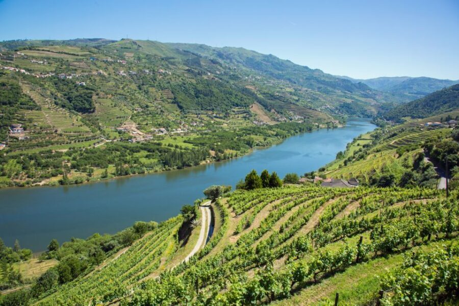 Small Group: Douro Valley Wine Tasting from Porto - Small group logistics: the “8 people” advantage