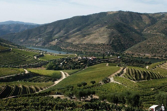 Taste the Douro - Vintage Experience - Vintage car vibes: fun comfort, but confirm the option