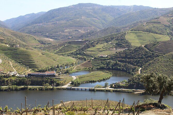 Tour the Douro wine region, and discover the fantastic landscape - The Rural Route Between Stops: Where the Day Gets Interesting
