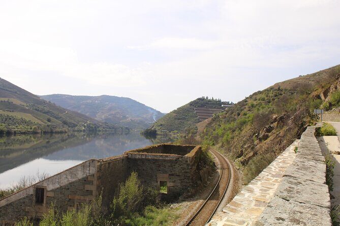 Tour the Douro wine region, and discover the fantastic landscape - Who This Douro Day Trip Suits Best